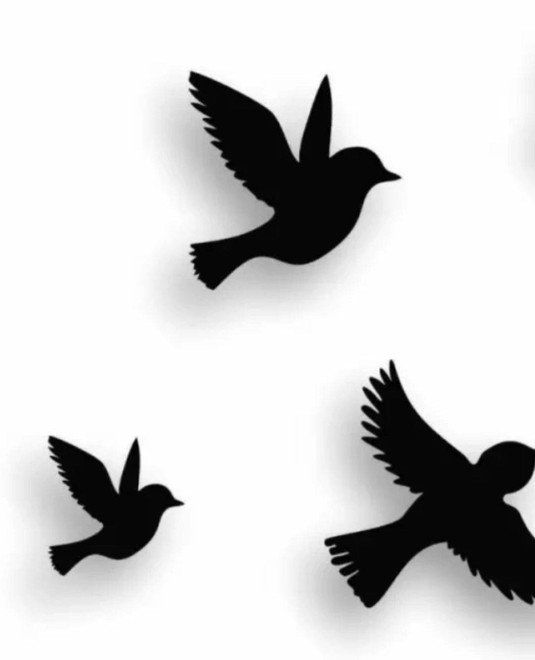 6 Flying Bird Decoration for Wall, Home and Bedroom Decorations