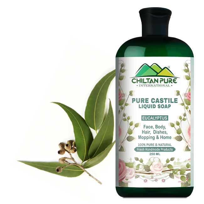 Pure Castile Liquid Soap [Eucalyptus]